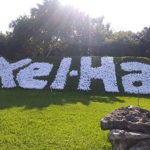 Meet your Posher, Hector